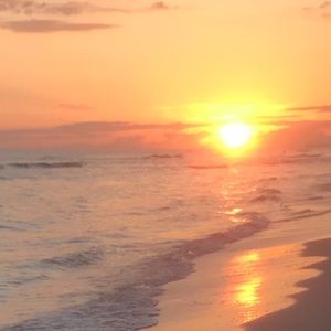 Meet your Posher, Debra